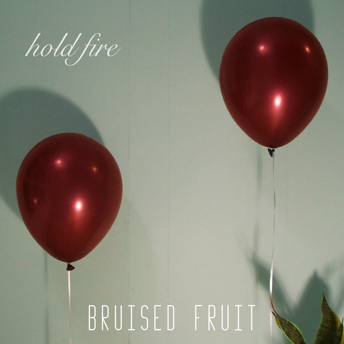 Hold Fire Bruised Fruit.jpg